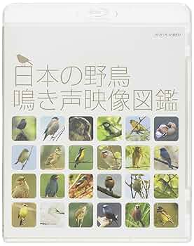 (未使用･未開封品)　日本の野鳥 鳴き声映像図鑑 DVD kmdlckf 未使用・未開封品) 日本の野鳥 鳴き声映像図鑑 DVD kmdlckf